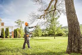 Granite Falls, NC Tree Care  Company